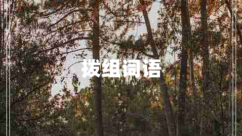 撥組詞語