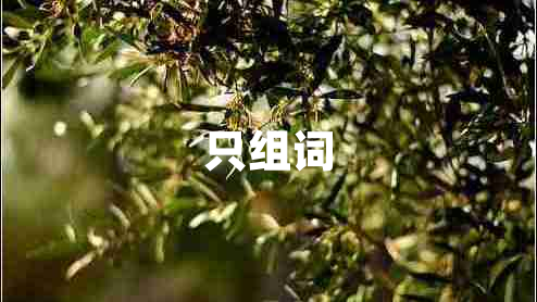 只組詞