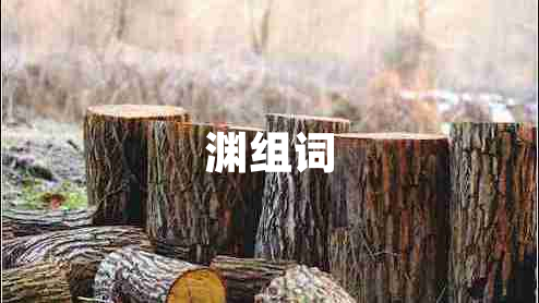 淵組詞