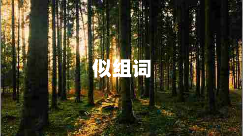 似組詞