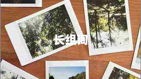 長(zhǎng)組詞