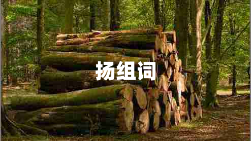 揚組詞