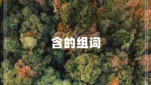 含的組詞