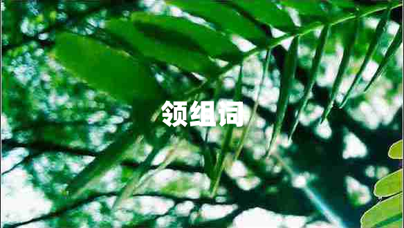 領(lǐng)組詞