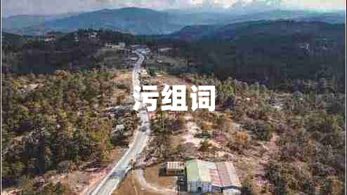 污組詞