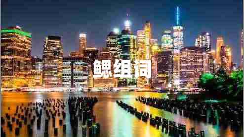 鰓組詞