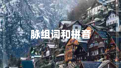 脈組詞和拼音