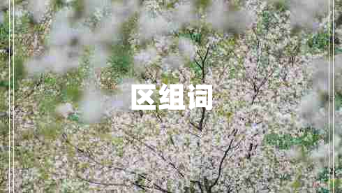 區組詞
