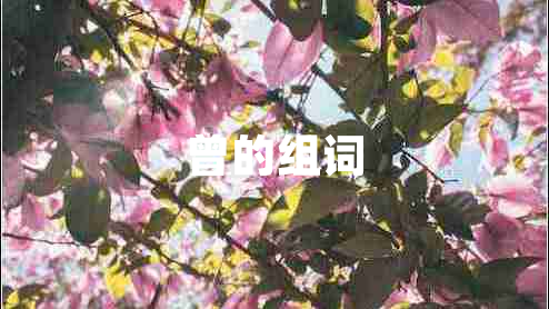 曾的組詞