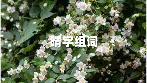 晴字組詞