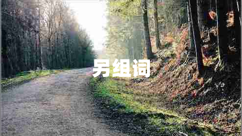 另組詞