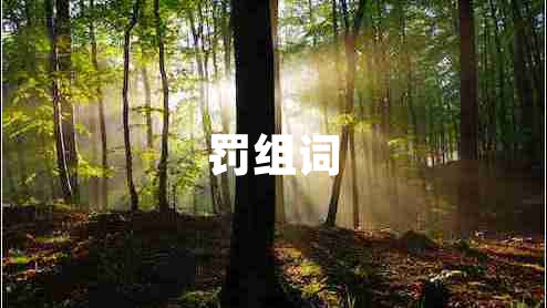 罰組詞