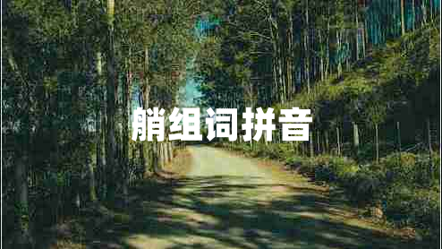 艄組詞拼音
