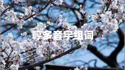 哼多音字組詞