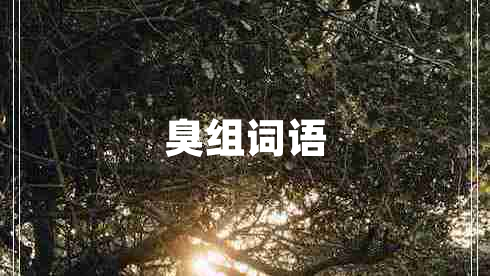 臭組詞語(yǔ)
