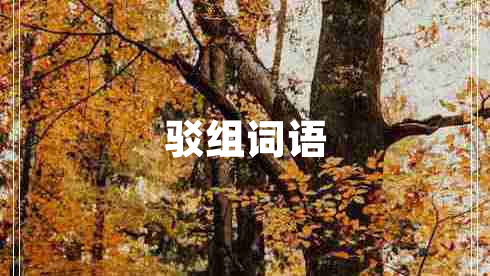 駁組詞語(yǔ)