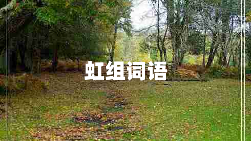 虹組詞語(yǔ)