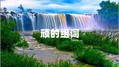 頑的組詞