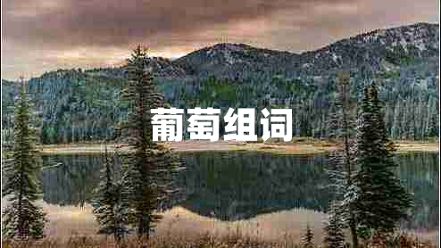 葡萄組詞