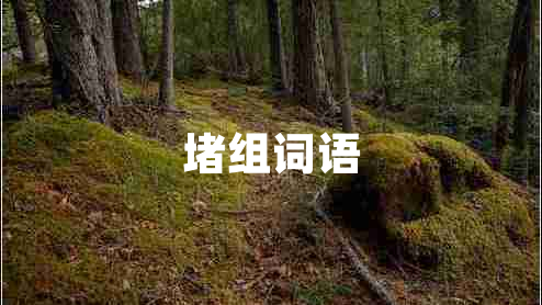 堵組詞語(yǔ)