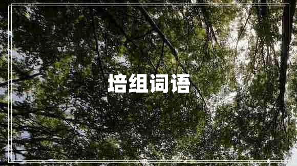 培組詞語(yǔ)
