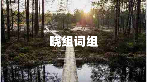 曉組詞組