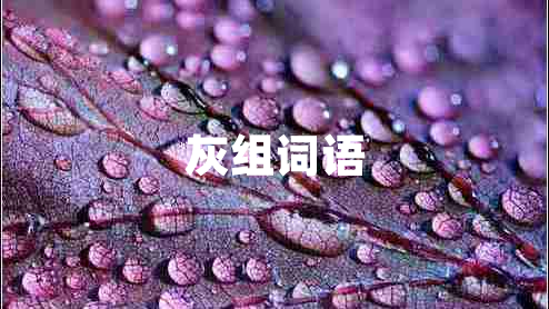 灰組詞語(yǔ)