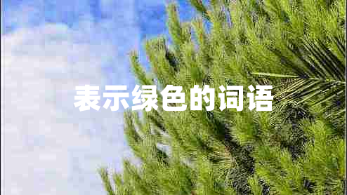 表示綠色的詞語(yǔ)