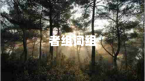 者組詞組