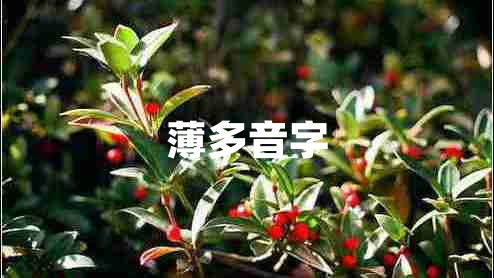 薄多音字 薄多音字