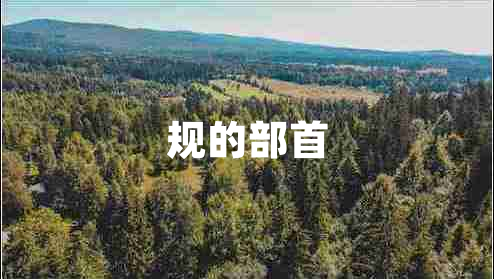 規的部首