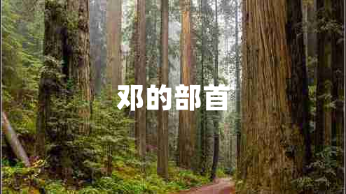 鄧的部首