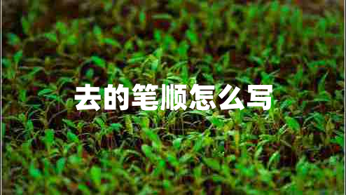 去的筆順怎么寫(xiě)