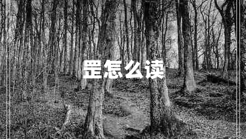 罡怎么讀