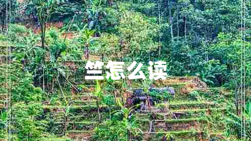 竺怎么讀