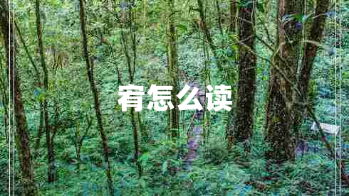 宥怎么讀