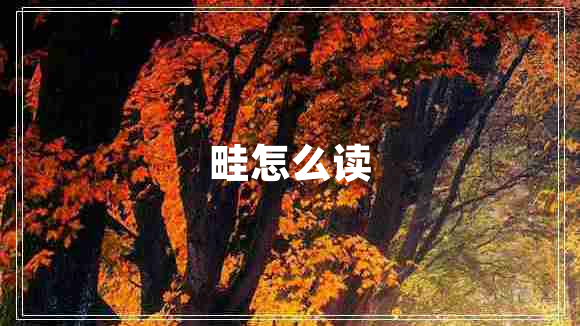 畦怎么讀