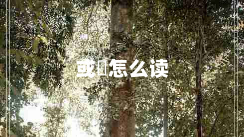 或彧怎么讀