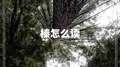 榛怎么讀