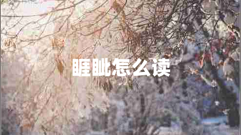 睚眥怎么讀