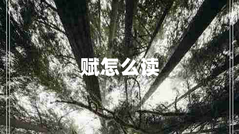 賦怎么讀
