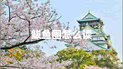 鲅魚(yú)圈怎么讀