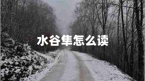 水谷隼怎么讀