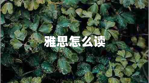 雅思怎么讀