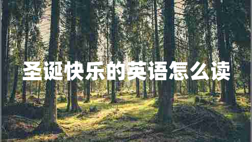 圣誕快樂(lè )的英語(yǔ)怎么讀