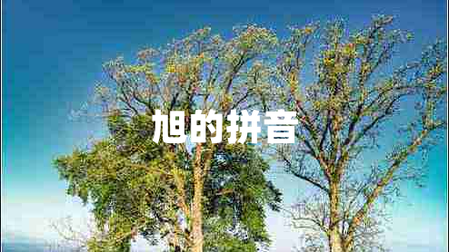 旭的拼音