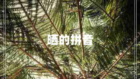 曬的拼音