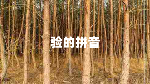 驗的拼音