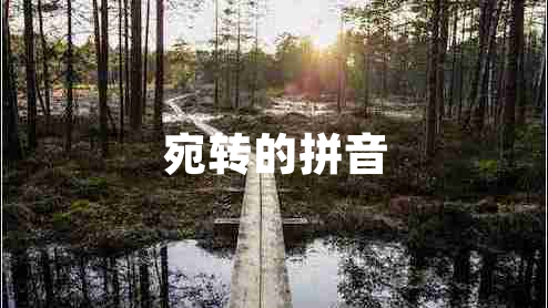 宛轉的拼音