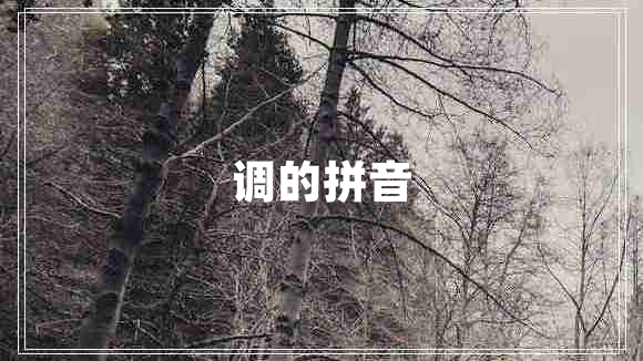 調(diào)的拼音